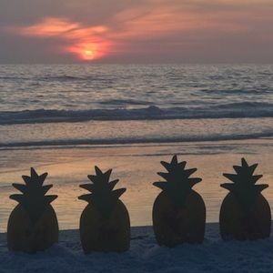 Meet your Posher, Wendy